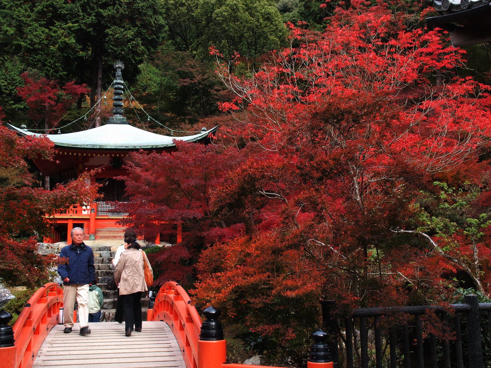 醍醐の紅葉