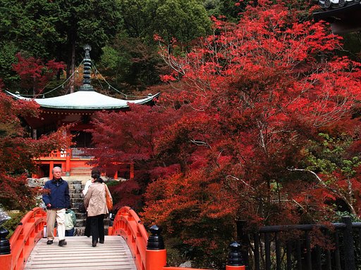 醍醐の紅葉