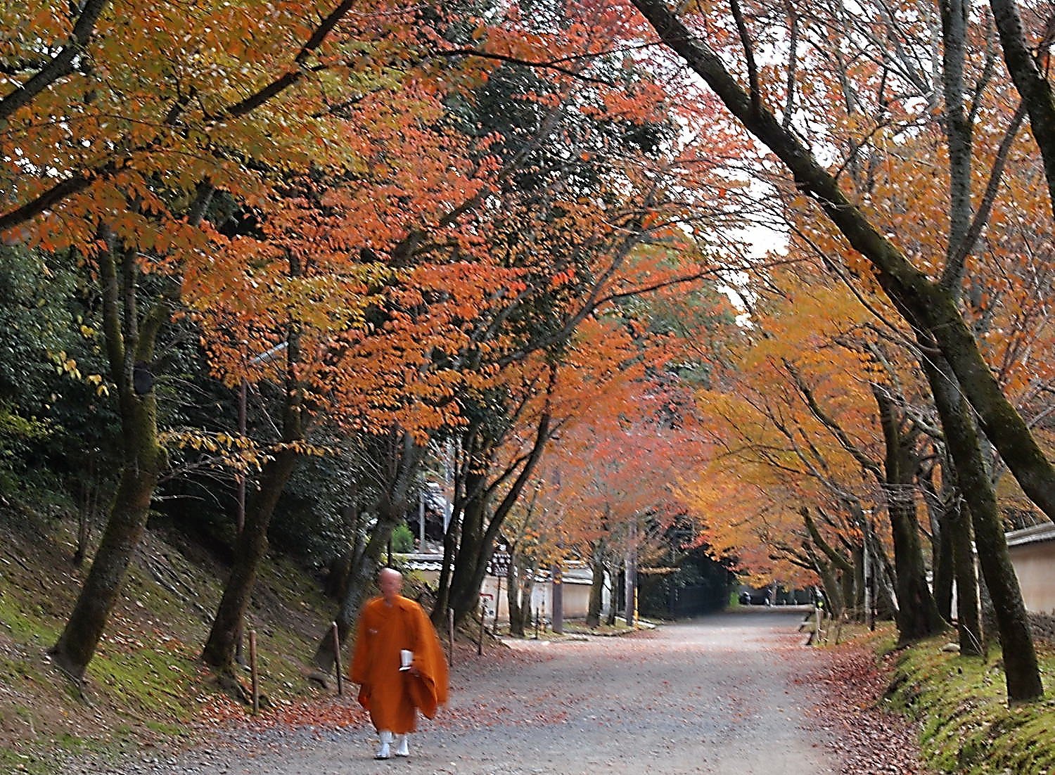 　醍醐寺の紅葉４