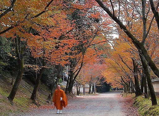 　醍醐寺の紅葉４