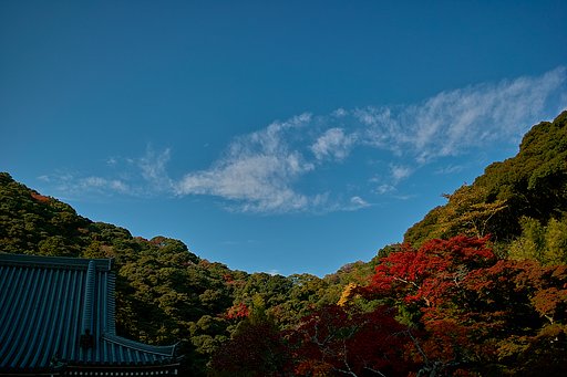 【絵のような】山に囲まれて