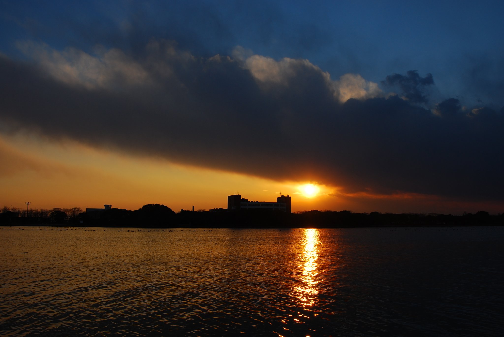 夕陽