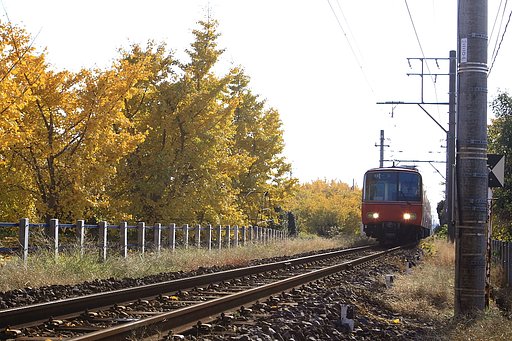 黄葉と赤い電車