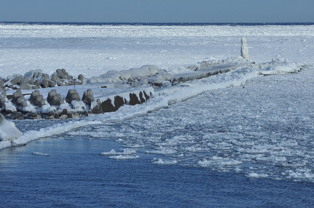 流氷接岸