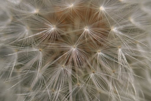 春の花火