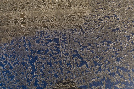 氷の桜が満開