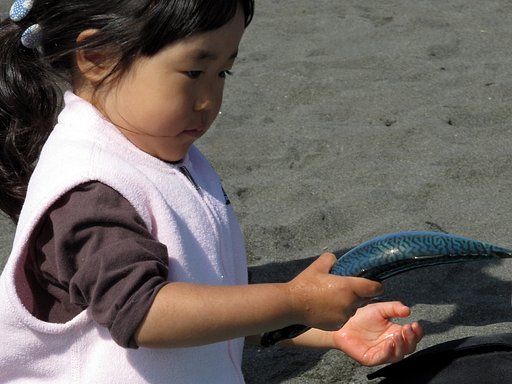 お魚さん♪