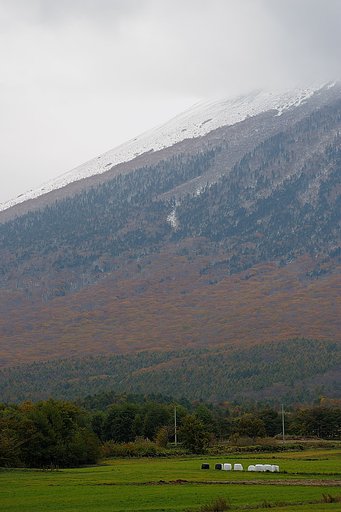 初冠雪