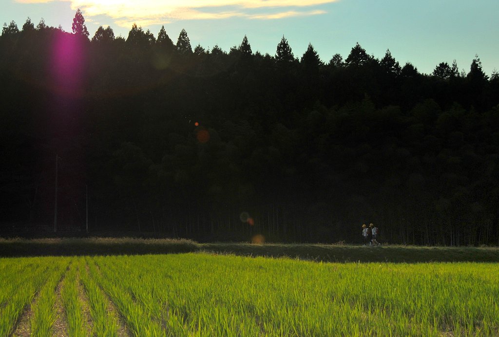 帰り道