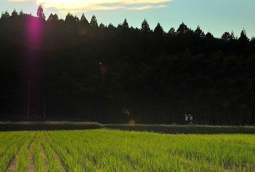 帰り道