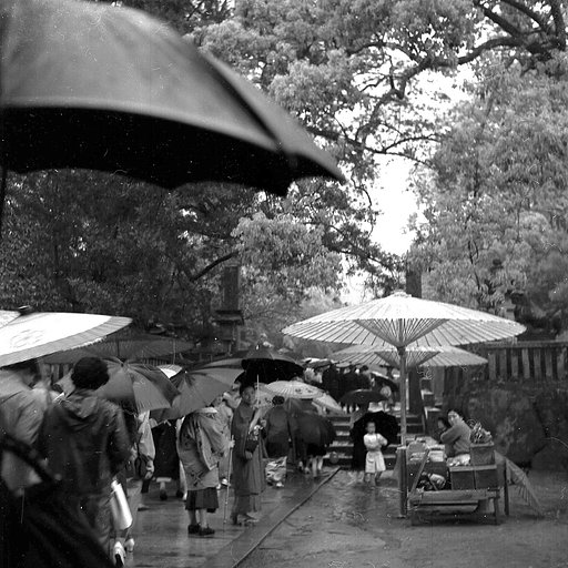 【モノクロ】雨の参道