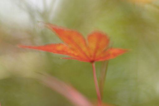 時には絵画のように