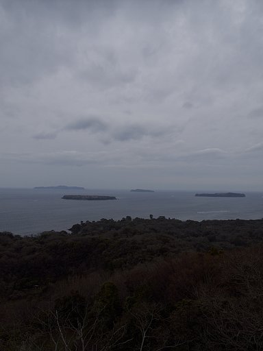 本日は雨模様・・