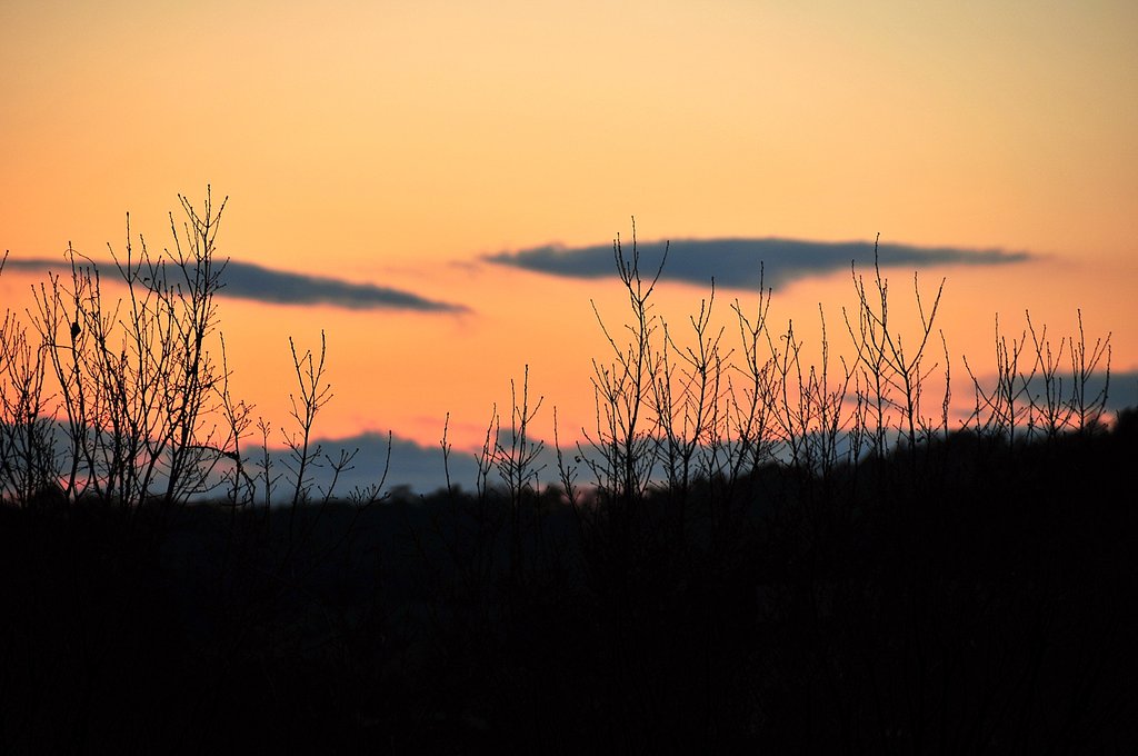 里の夕焼け