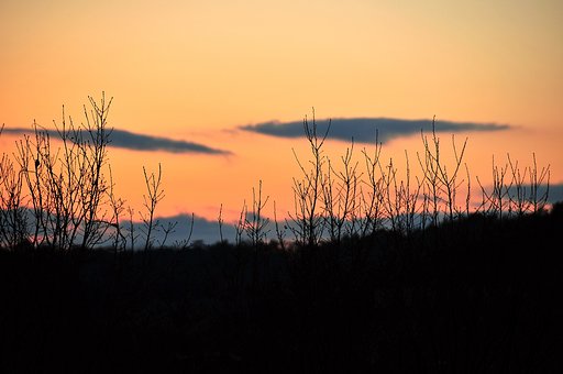 里の夕焼け