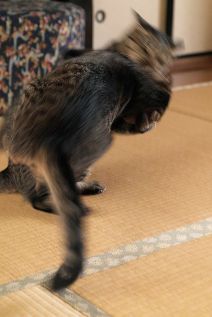 その後
