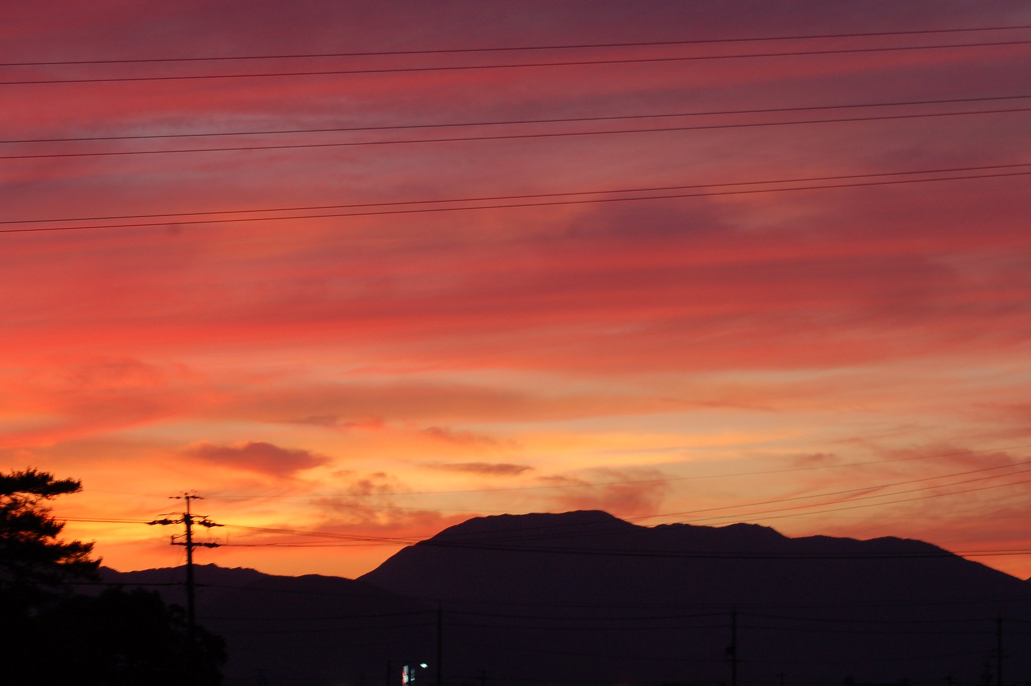 夕日