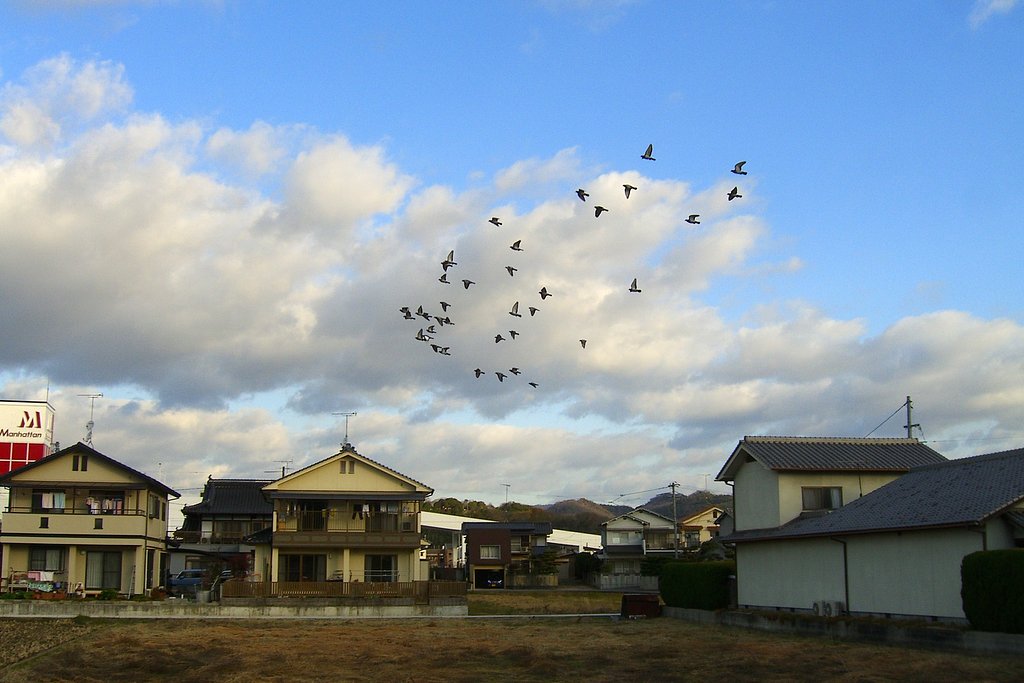 強風に