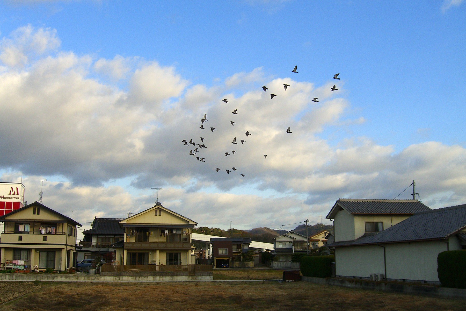 強風に