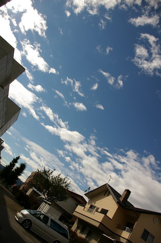 今頃になって青空