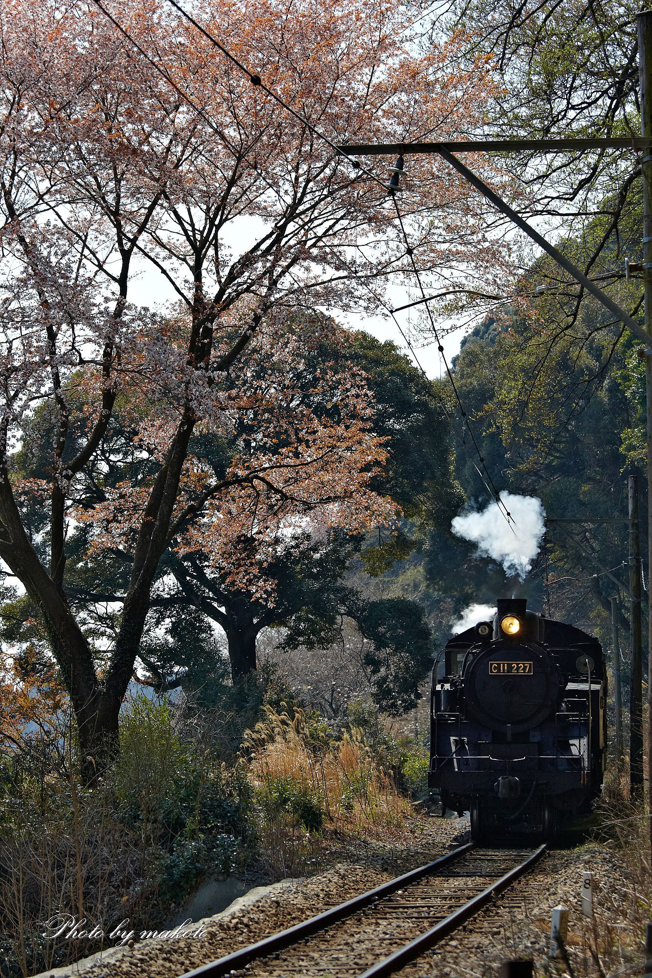 花散る沿線