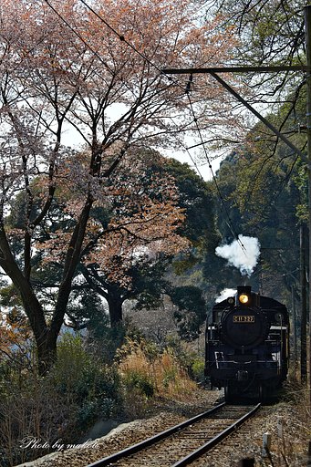 花散る沿線