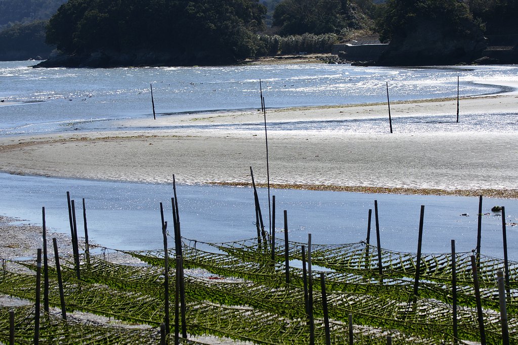 【おだやかに・・・春】日本の春の海