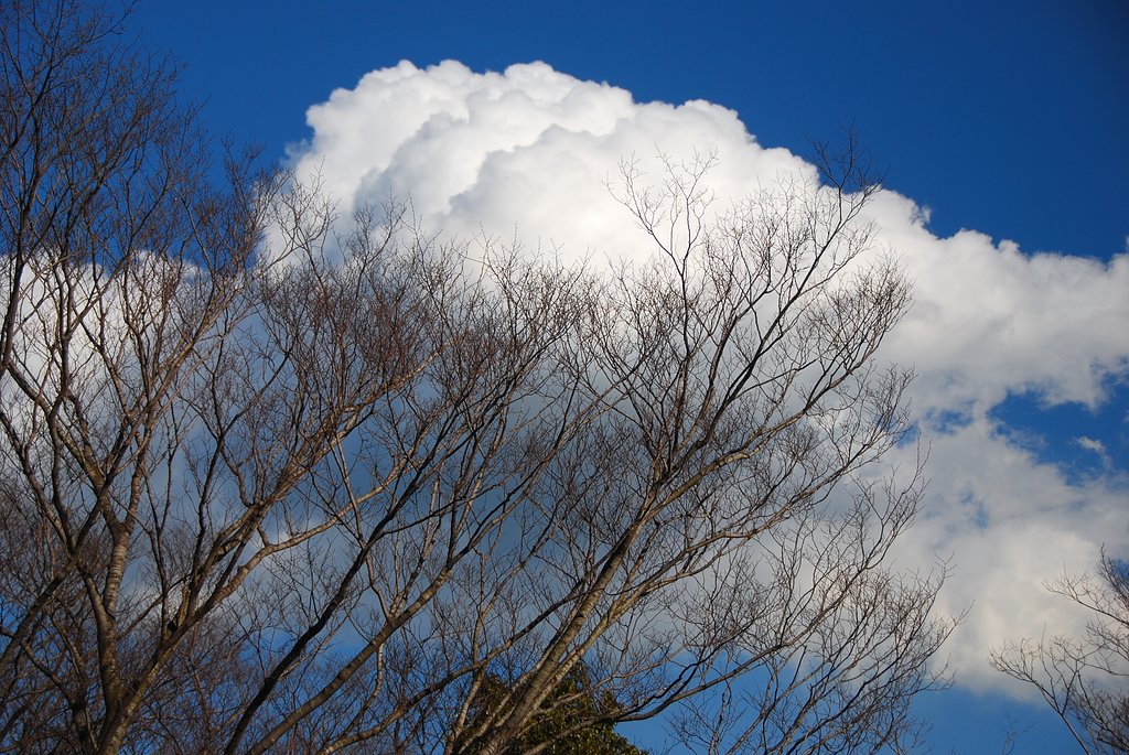雲