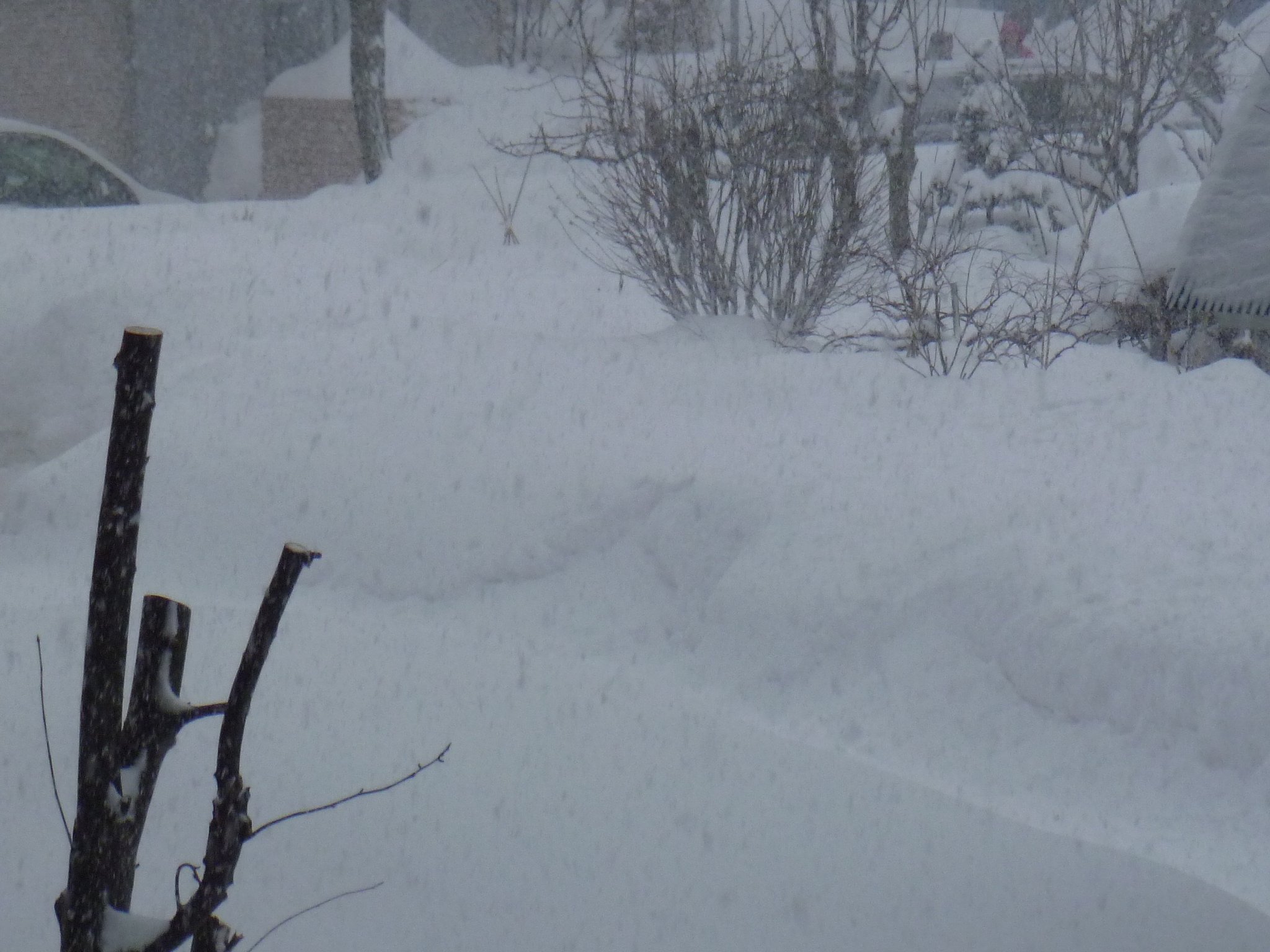 【う】ーっ！大雪