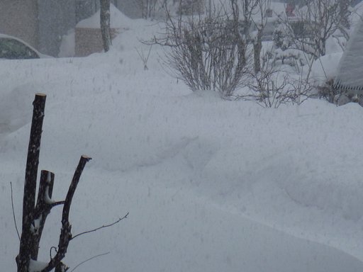 【う】ーっ！大雪