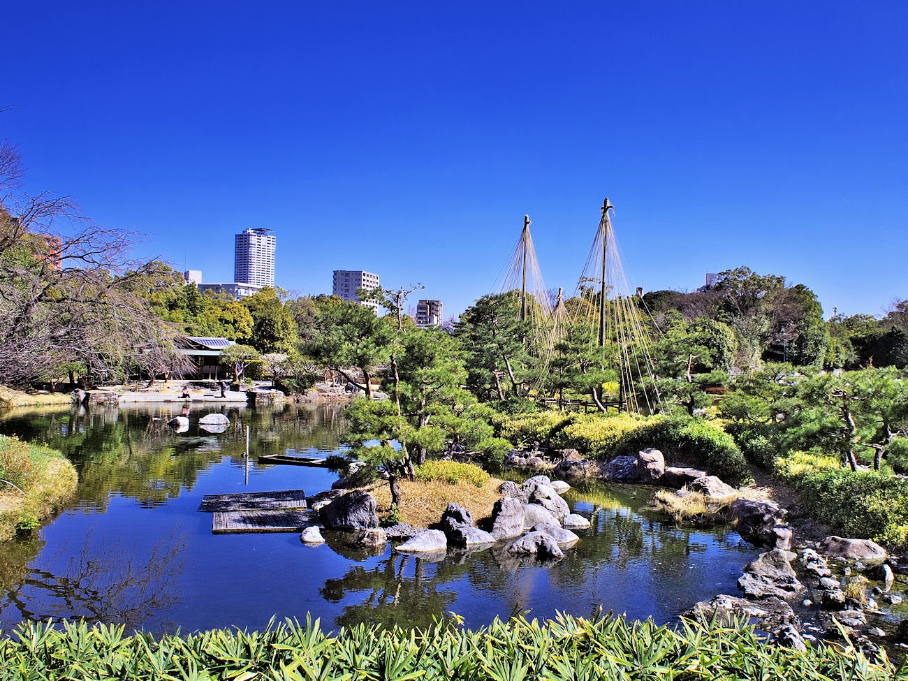 白鳥庭園