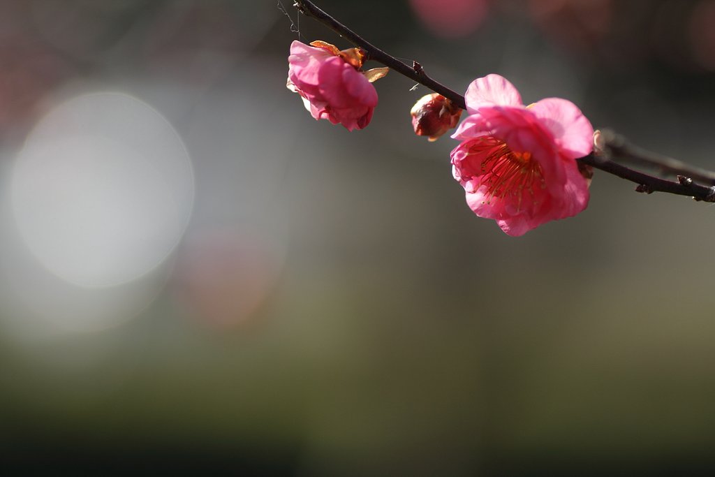 眩しいよ〜