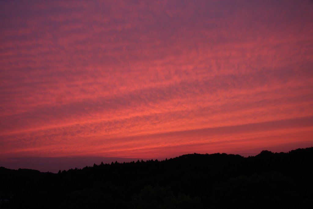 赤く焼けた空