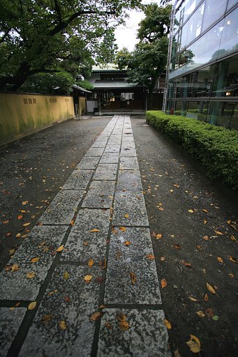 枯れ葉よ〜