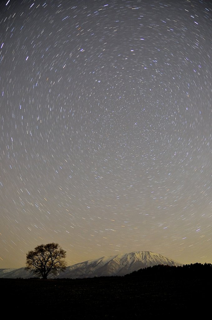 星に願いを
