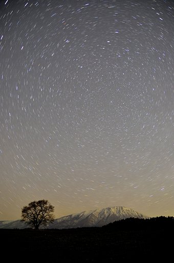 星に願いを