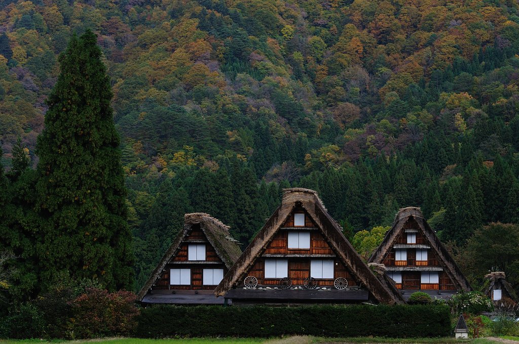 晩秋の合掌村