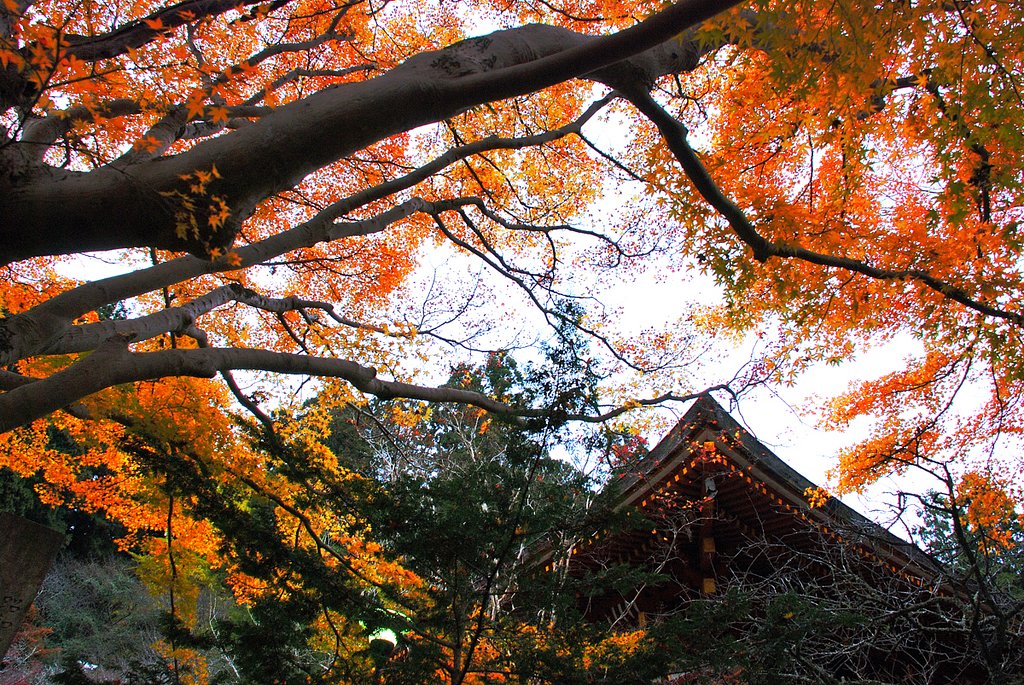 室生寺の秋（奈良県）