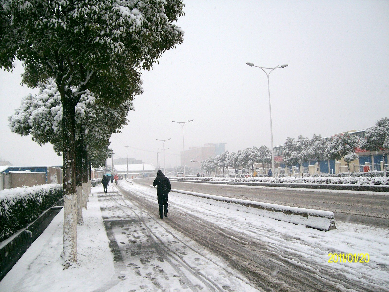 上海速報