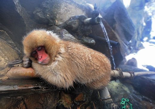 【う】〜ん　夢ん中