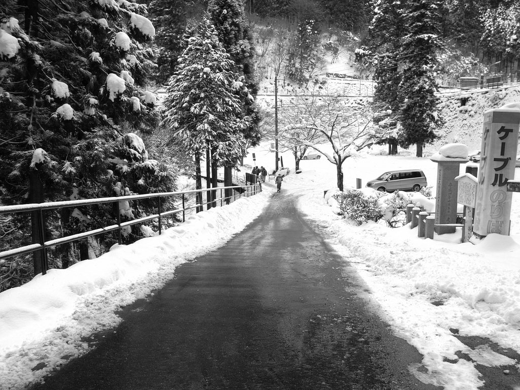 雪化粧の景色の中を歩く人の【う】しろすがた。