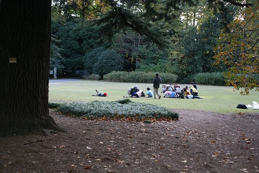 子どもの集会
