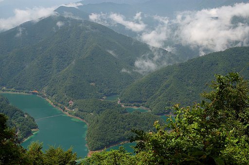 【緑】緑の水がめ2