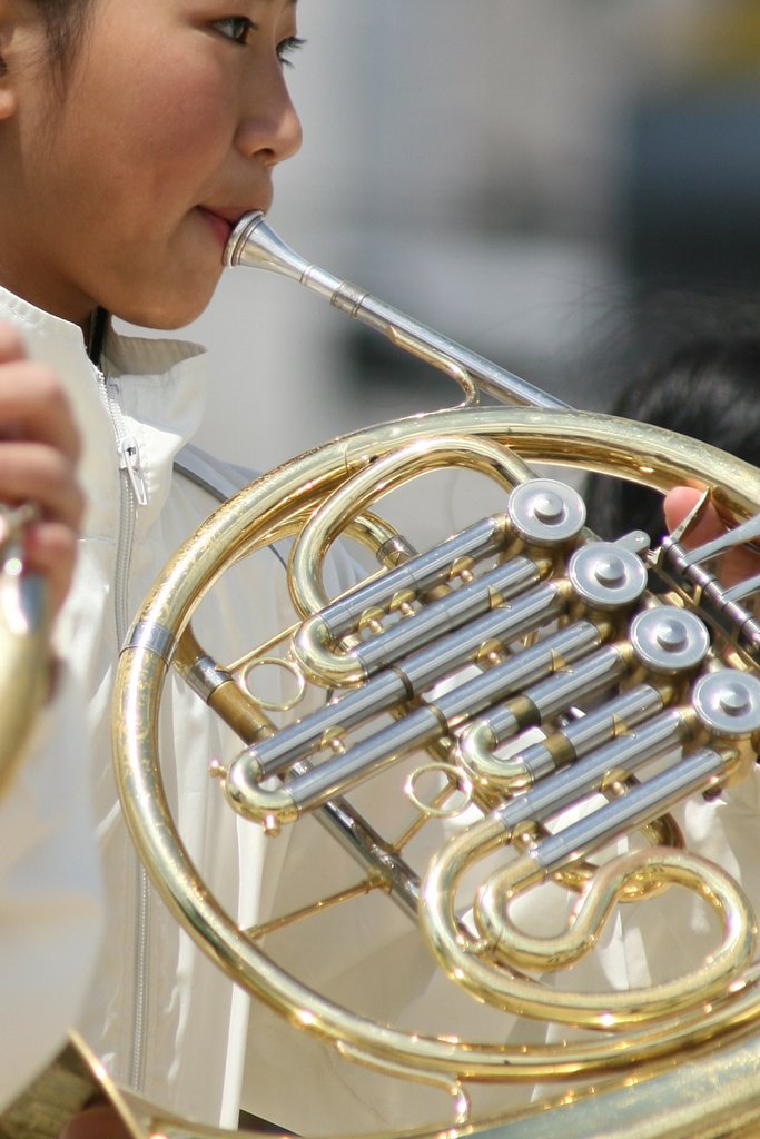 【金】管楽器