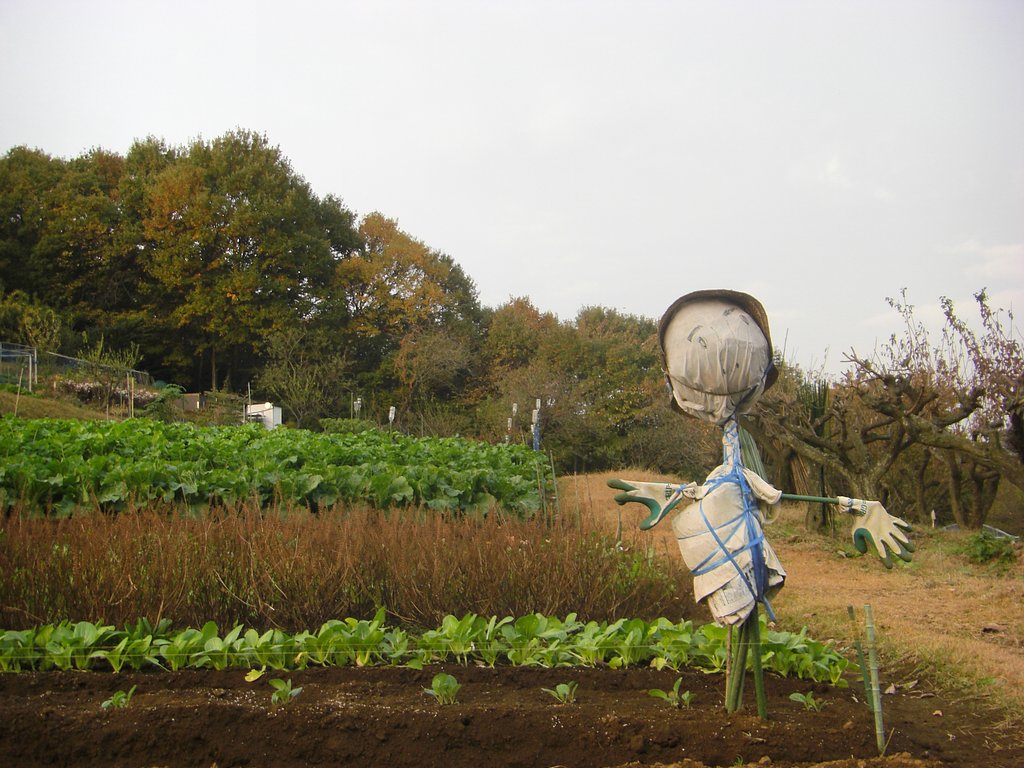 ♪朝から晩までただ立ちどうし♪