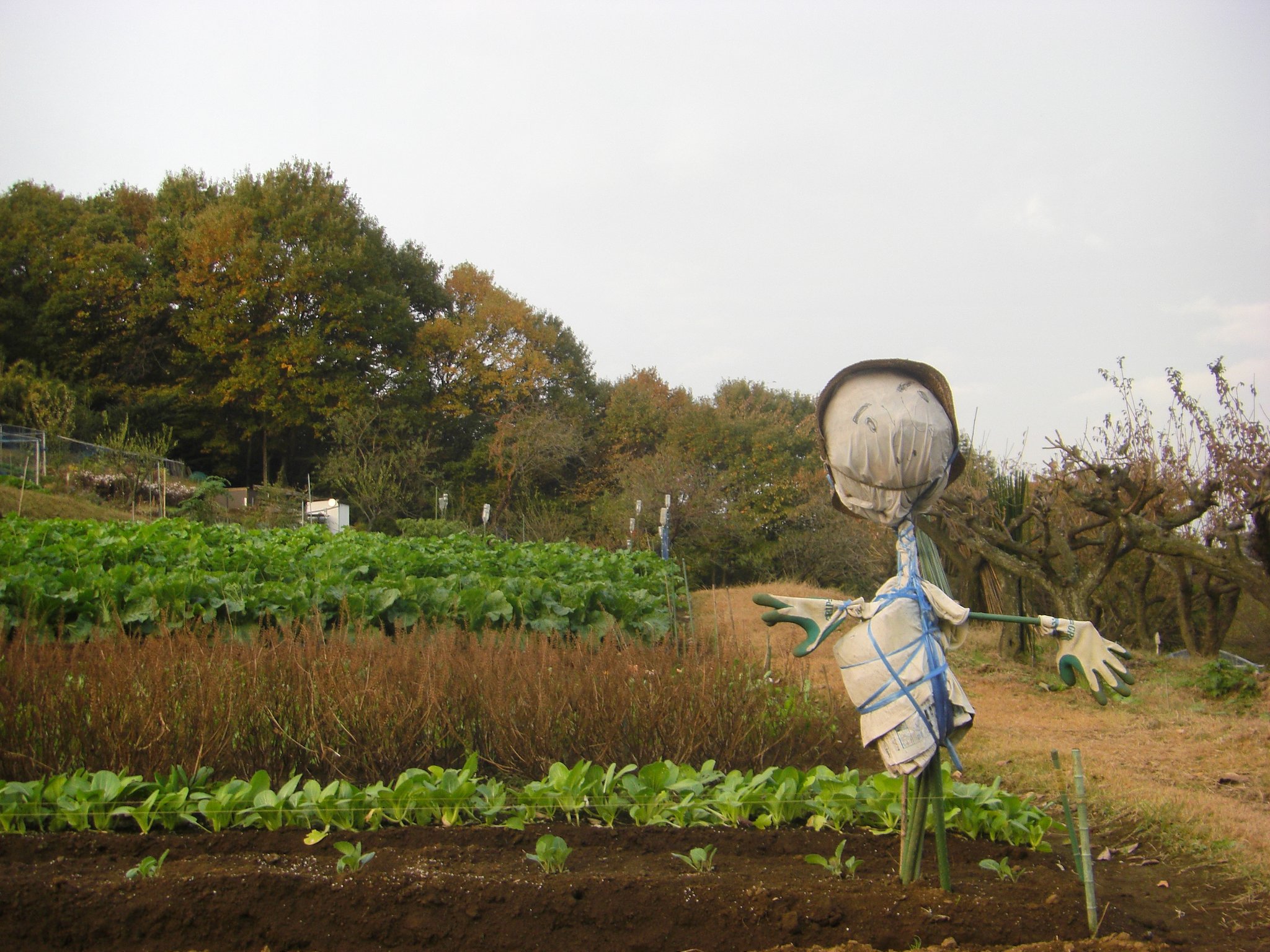 ♪朝から晩までただ立ちどうし♪