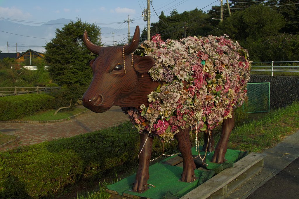 着飾って