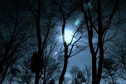 星月夜