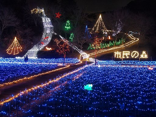 光の水面
