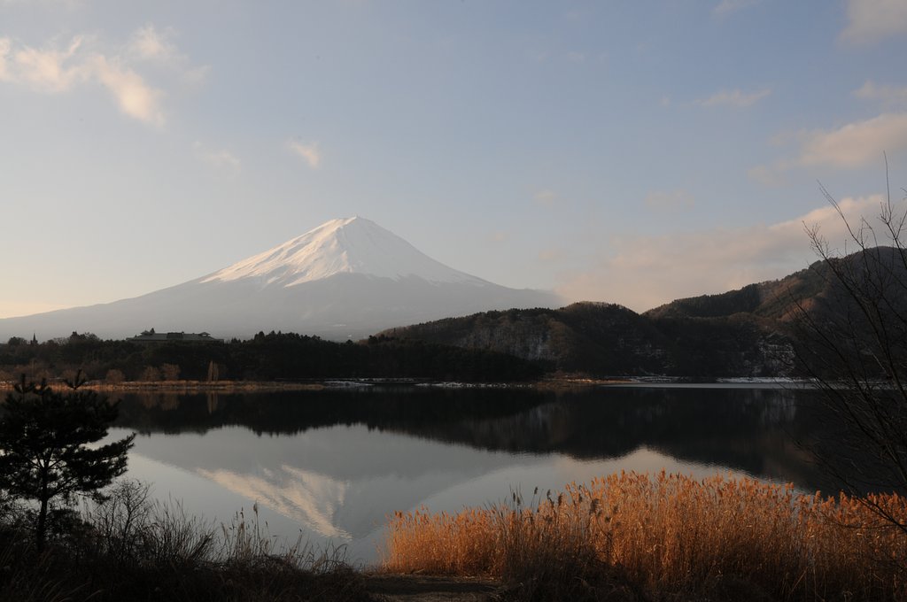 逆さ富士